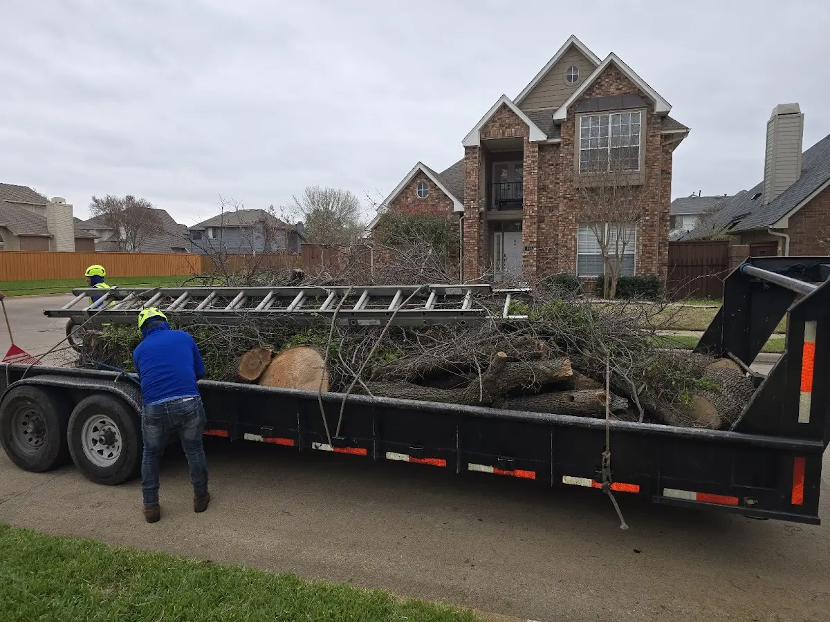 Expert Lot Clearing with proper safety equipment in Bryans Road